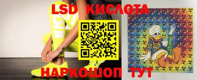прущая мука Ефремов