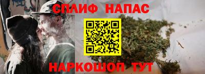 гидра Бузулук