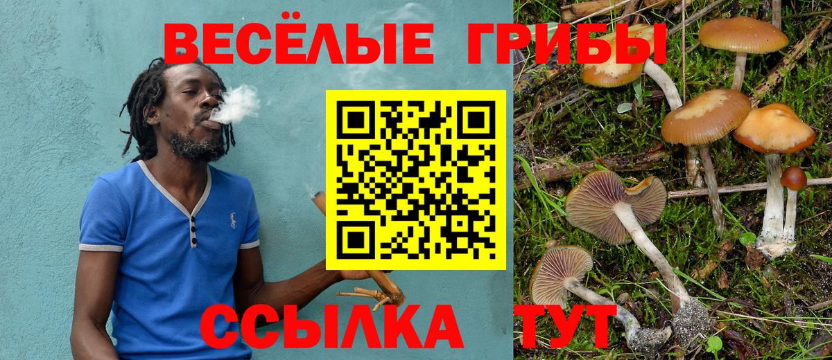 Галлюциногенные грибы MAGIC MUSHROOMS  Вход с VPN  Ростов Великий 